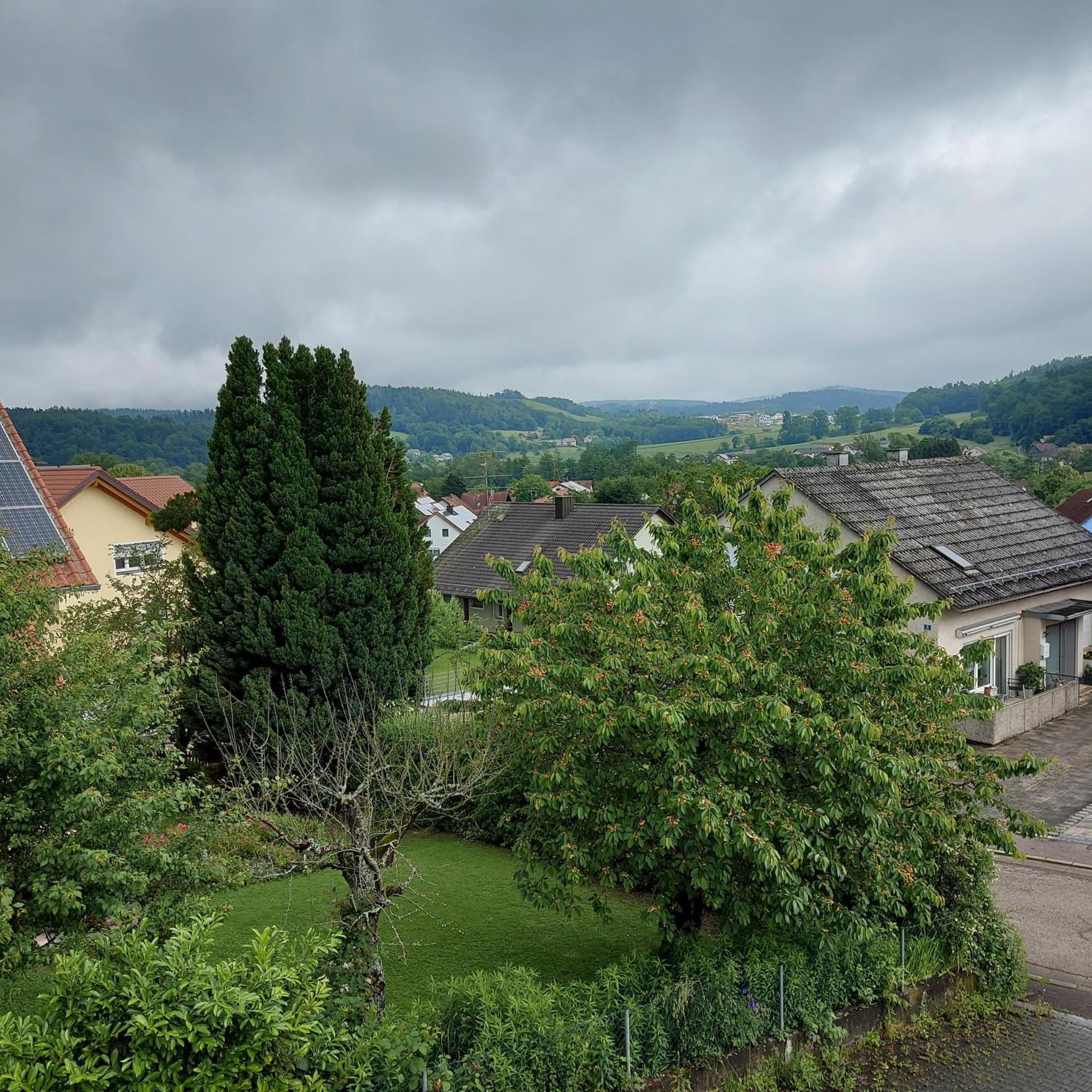 Apartment Am Berg Wiesent